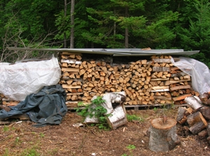 Preparing Winter’s Wood in Summer Image